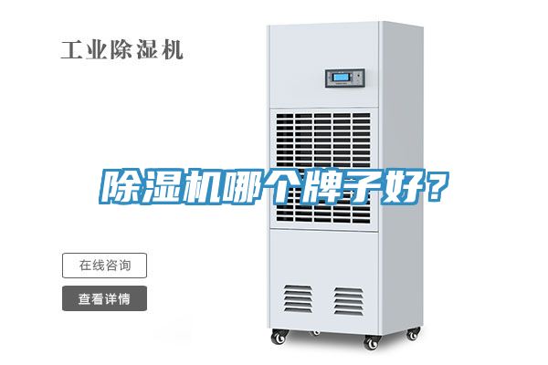 除濕機(jī)哪個牌子好？
