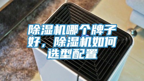 除濕機(jī)哪個牌子好，除濕機(jī)如何選型配置