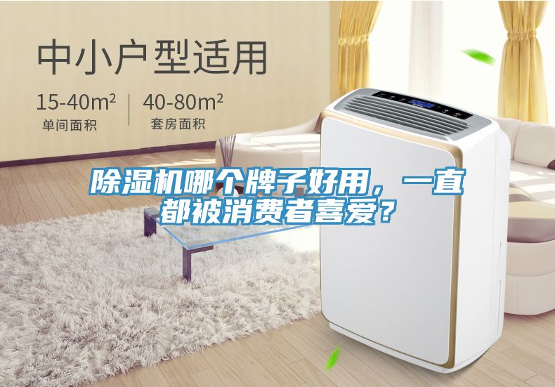 除濕機(jī)哪個(gè)牌子好用，一直都被消費(fèi)者喜愛？