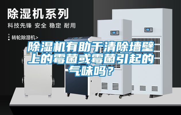 除濕機有助于清除墻壁上的霉菌或霉菌引起的氣味嗎？