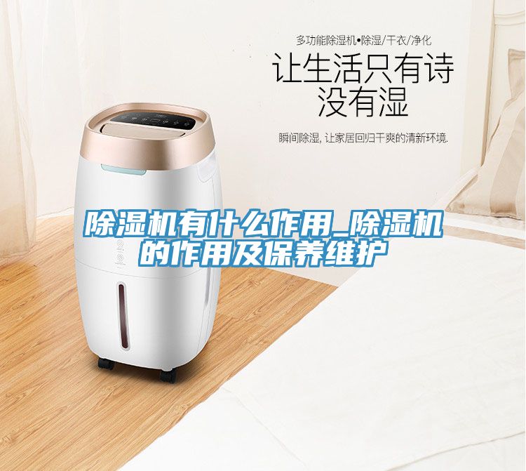 除濕機有什么作用_除濕機的作用及保養(yǎng)維護