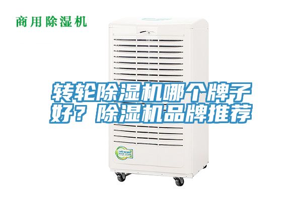 轉輪除濕機哪個牌子好？除濕機品牌推薦