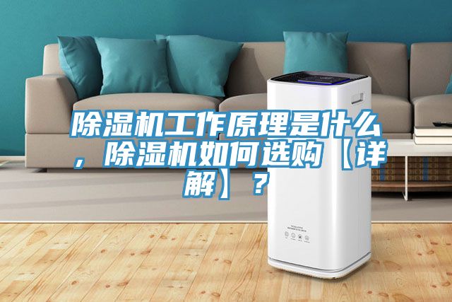 除濕機工作原理是什么，除濕機如何選購【詳解】？