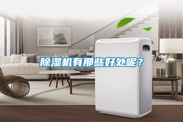 除濕機(jī)有那些好處呢？