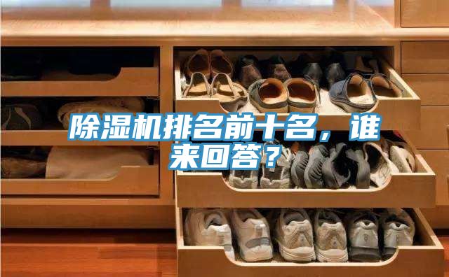 除濕機(jī)排名前十名，誰(shuí)來回答？