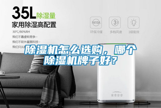 除濕機(jī)怎么選購(gòu)，哪個(gè)除濕機(jī)牌子好？