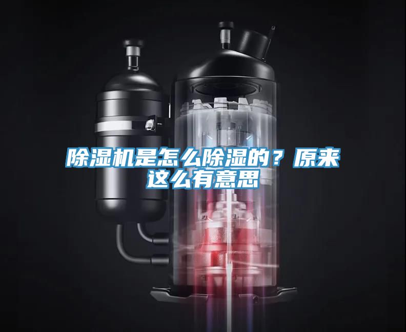 除濕機是怎么除濕的？原來這么有意思