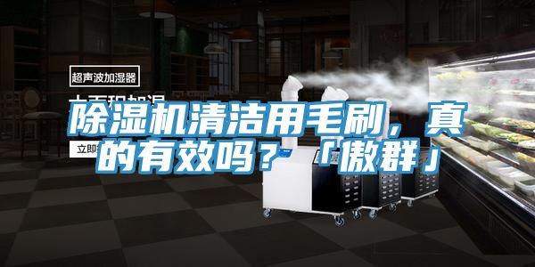 除濕機(jī)清潔用毛刷，真的有效嗎？「傲群」