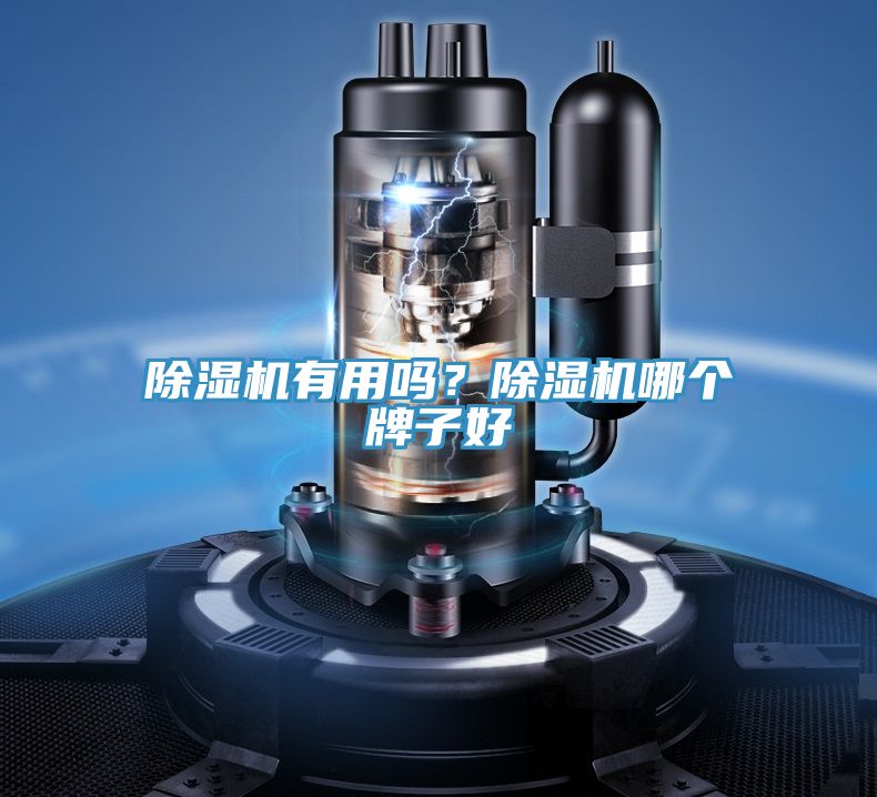除濕機(jī)有用嗎？除濕機(jī)哪個(gè)牌子好