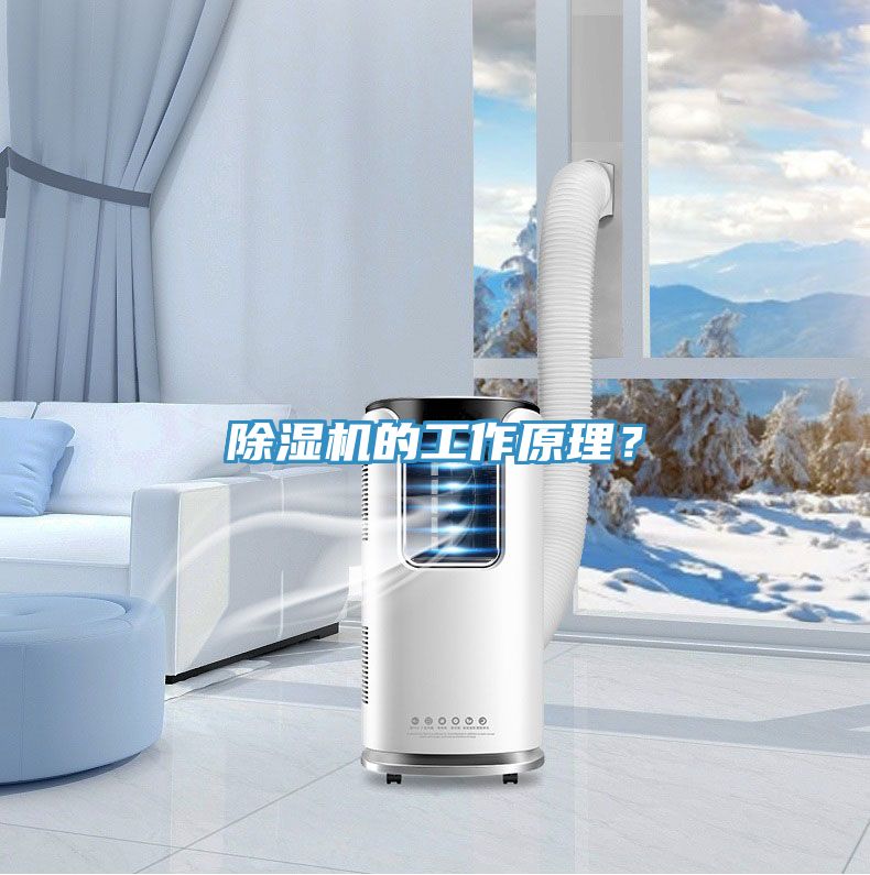 除濕機(jī)的工作原理？