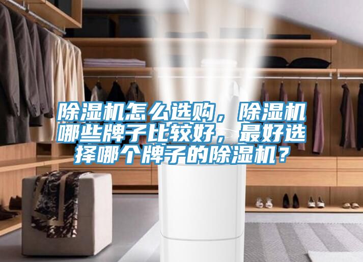 除濕機(jī)怎么選購(gòu)，除濕機(jī)哪些牌子比較好，最好選擇哪個(gè)牌子的除濕機(jī)？