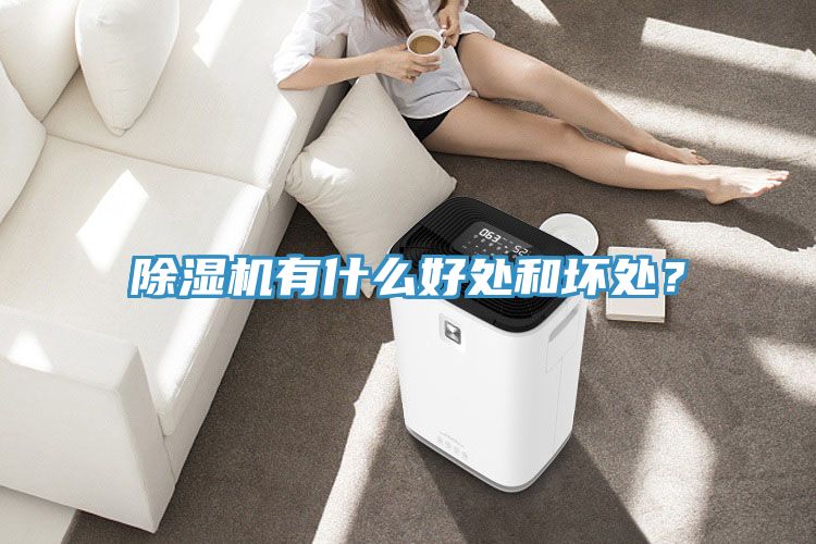 除濕機有什么好處和壞處？