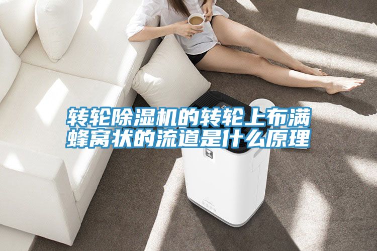 轉(zhuǎn)輪除濕機(jī)的轉(zhuǎn)輪上布滿蜂窩狀的流道是什么原理