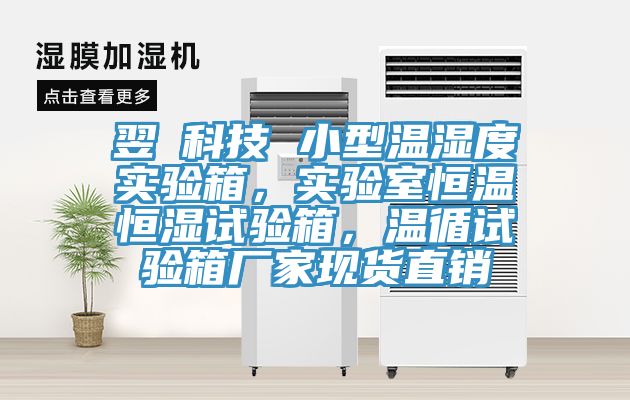 翌昇科技 小型溫濕度實(shí)驗(yàn)箱，實(shí)驗(yàn)室恒溫恒濕試驗(yàn)箱，溫循試驗(yàn)箱廠家現(xiàn)貨直銷