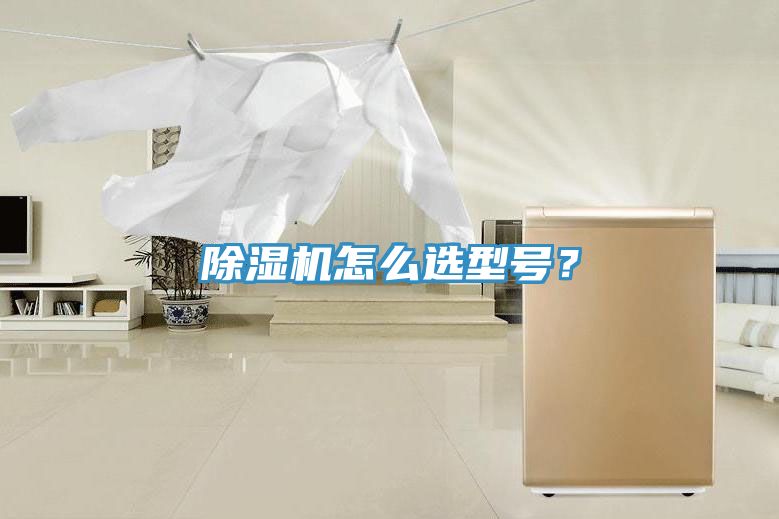 除濕機(jī)怎么選型號(hào)？
