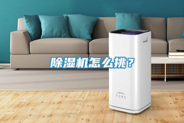 除濕機(jī)怎么挑？