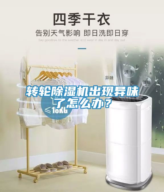 轉(zhuǎn)輪除濕機(jī)出現(xiàn)異味了怎么辦？