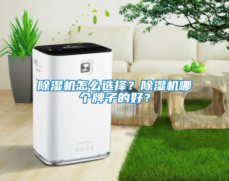 除濕機(jī)怎么選擇？除濕機(jī)哪個(gè)牌子的好？