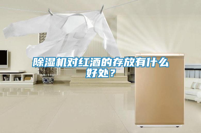 除濕機對紅酒的存放有什么好處？
