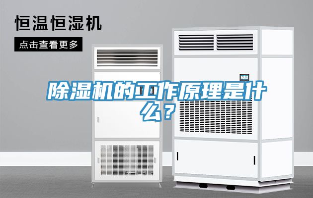 除濕機(jī)的工作原理是什么？