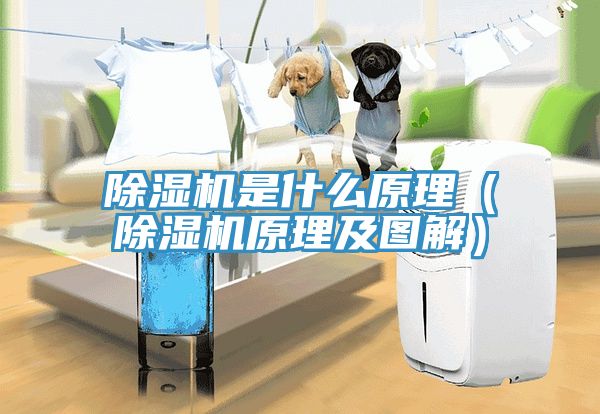 除濕機是什么原理（除濕機原理及圖解）