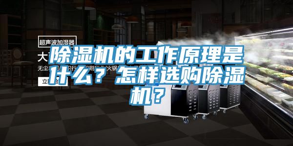 除濕機(jī)的工作原理是什么？怎樣選購(gòu)除濕機(jī)？
