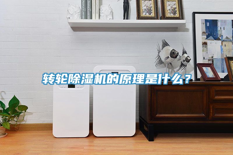 轉(zhuǎn)輪除濕機(jī)的原理是什么？