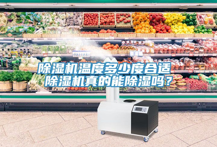 除濕機(jī)溫度多少度合適 除濕機(jī)真的能除濕嗎？