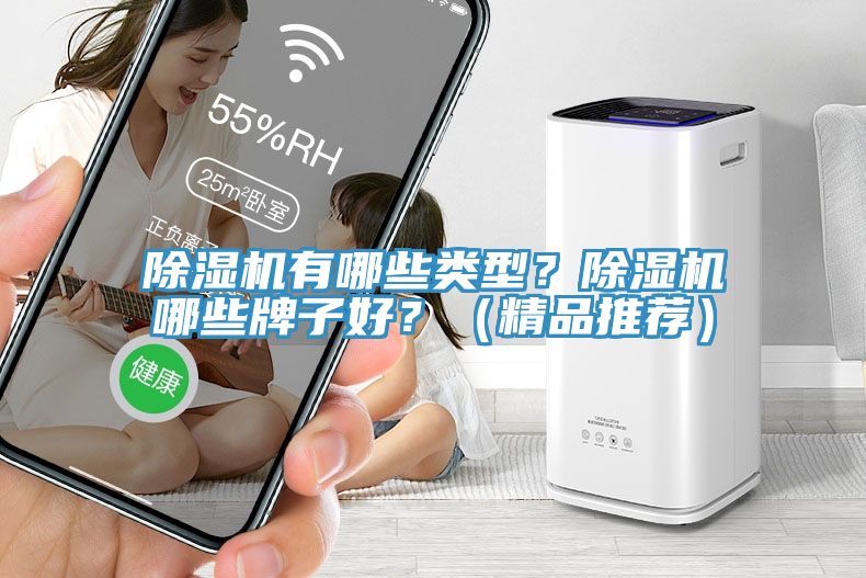除濕機(jī)有哪些類型？除濕機(jī)哪些牌子好？（精品推薦）