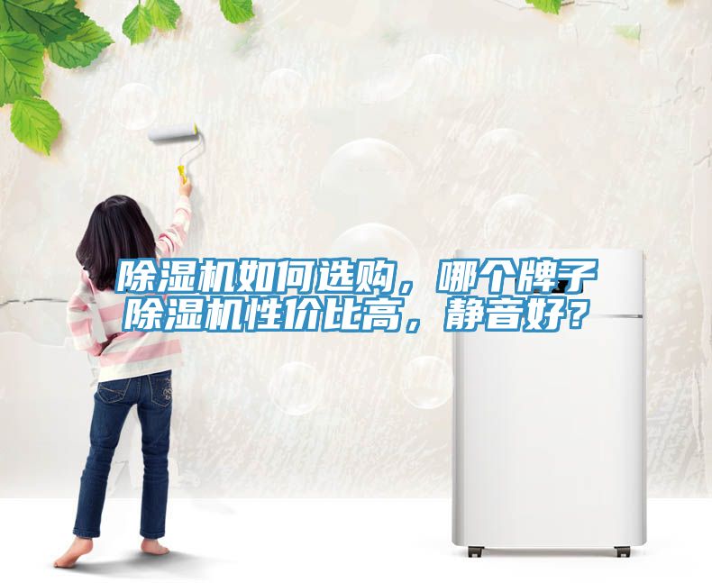 除濕機如何選購，哪個牌子除濕機性價比高，靜音好？