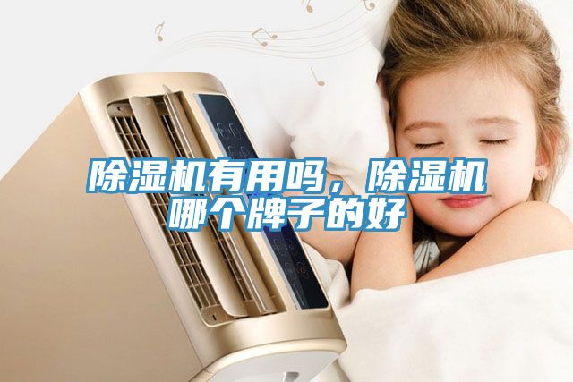 除濕機(jī)有用嗎，除濕機(jī)哪個(gè)牌子的好